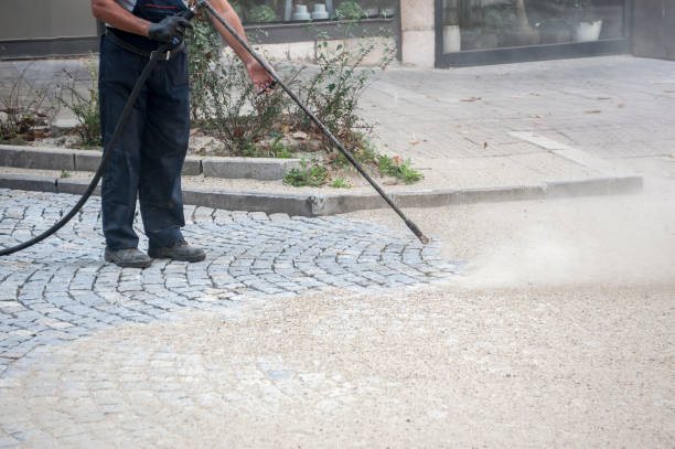  Ricardo, TX Pressure Washing Pros